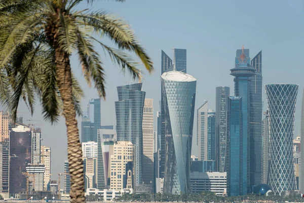 Панорамный вид на современные горизонты Дохи через размытые пальмы. Катар в солнечный день — стоковое фото