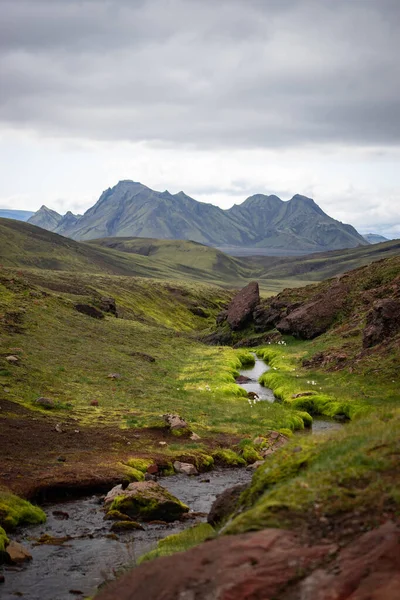 Zöld mező moha és hegycsúcs a Laugavegur túraútvonal, Izland — Stock Fotó