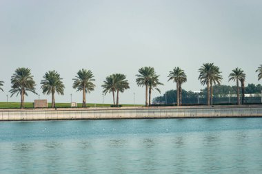 Avuç içleri tek çizgide, deniz ise arka planda ve ön planda. 