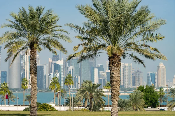 Panoramic view of modern skyline of Doha through blurred palm trees. Qatar on sunny day — 스톡 사진