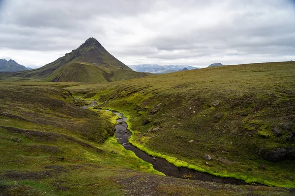 Grönt fält med mossa och bergstopp på Laugavegur vandringsled, Island — Stockfoto