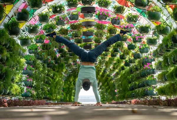 Man keep balance on hands in the colourful floral and umbrella arch at the Corniche Station. Doha, Qatar. Concept of health and force