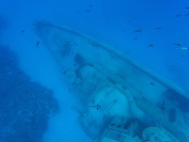 Bir büyük batık terk edilmiş gemi berrak suda 30 metre derinlikte. Grand Cayman.