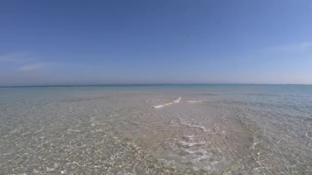 Slow-motion of Crystal clear shallow water and white sand with blue sky — Stock Video