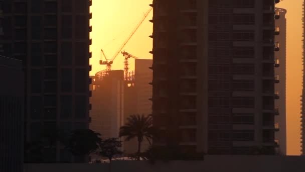 Grues à tour sur le chantier et le fond de la ville pendant le coucher du soleil — Video