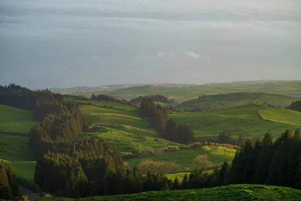 Groene veld op heuvel met kleine stukjes bos tijdens kleurrijke Sunrise — Stockfoto