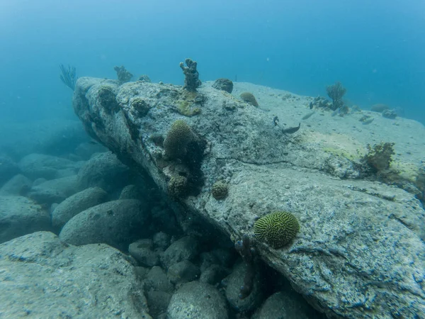 Estructura de corales duros rotos en agua clara después del huracán — Foto de Stock