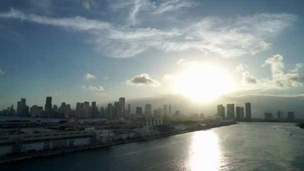 Hamnen i Miami med stora containerfartyg och kranar, längst bak skyline. — Stockvideo