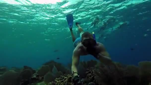 Hombre que va profundo bajo el agua rodeado de corales, peces y otra vida marina con palo selfie — Vídeos de Stock