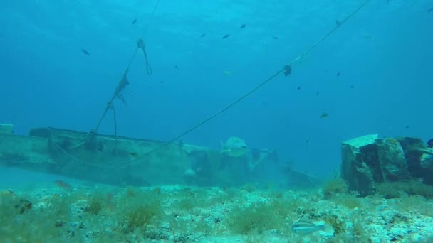 Freediver nadando alrededor de un avión destrozado — Vídeo de stock