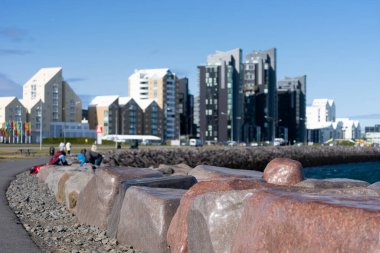 renkli evlerin Reykjavik şehir kuş görünümü.