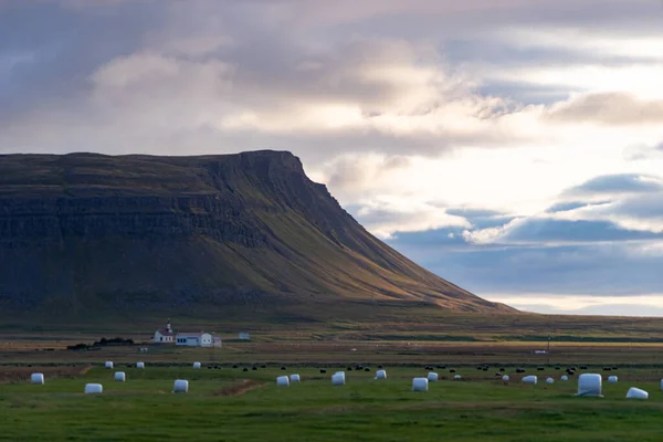 Ferme dans les Westfjords pendant le coucher du soleil dramatique, Islande. concept d'alimentation saine et d'environnement — Photo