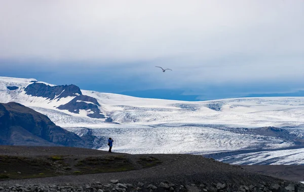 Фотограф фотографирует красивый исландский пейзаж, над которым летают ледник и птица — стоковое фото