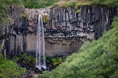 İzlanda şelalesi tanrıların uçurumuna yakından bakıyor. Yaz manzarasında uzun süre su akıntısı var.