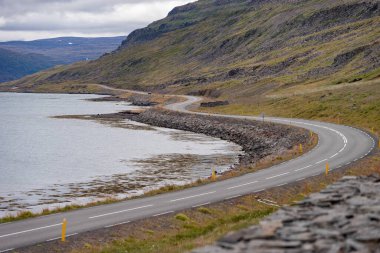 İzlanda Westfjord 'dan güzel yolu, fiyordu ve kıyısı olan manzaralı bir yer.