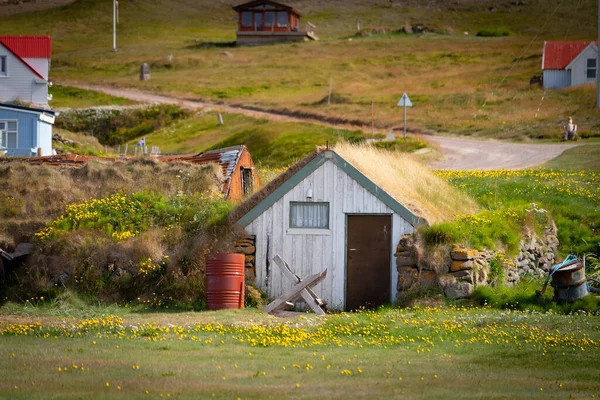 Belle maison islandaise avec toit en gazon et herbe verte — Photo