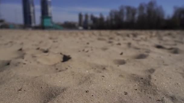 Langzame beweging van het bewegen boven zandstrand — Stockvideo