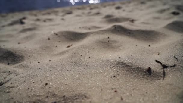 Langzame beweging van het bewegen boven zandstrand — Stockvideo