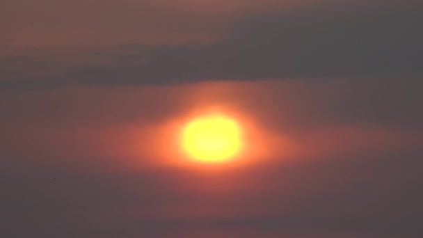 Vogel fliegt im Hintergrund der Sonne bei dramatischem Sonnenuntergang mit Wolken aus nächster Nähe — Stockvideo