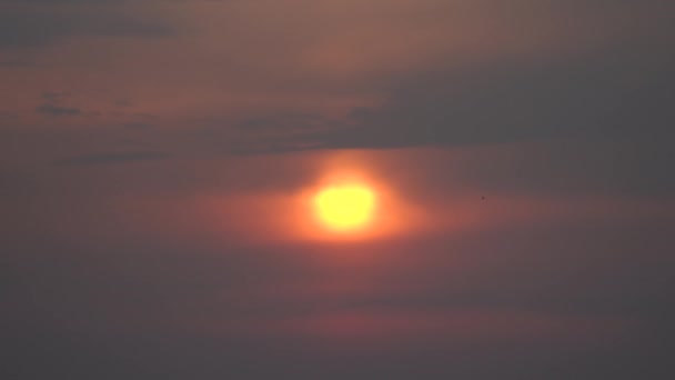 Pássaros voam no fundo do sol perto durante o pôr do sol dramático com nuvens — Vídeo de Stock