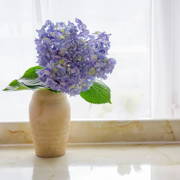 花瓶の青紫陽花 — ストック写真