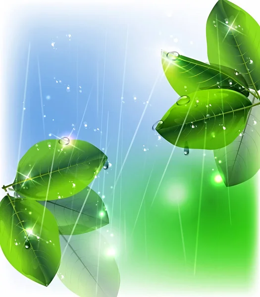 Зеленые листья с каплями воды — стоковый вектор