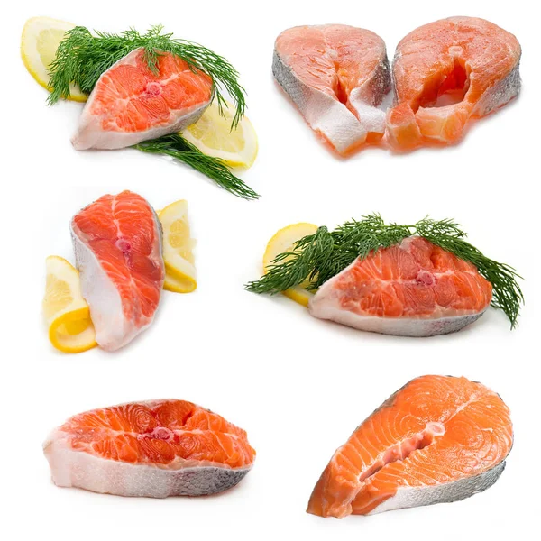 Collage zalm vissen — Stockfoto