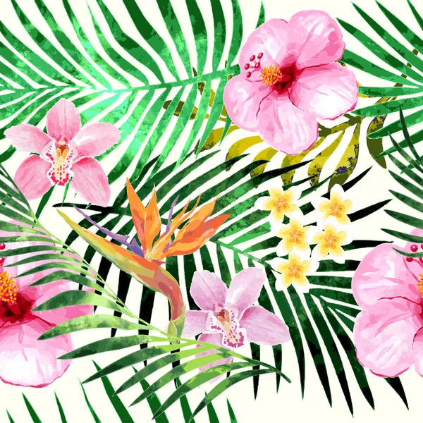 Sterlitzia motif tropical — Image vectorielle