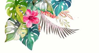 Hand drawn watercolor tropical plants clipart