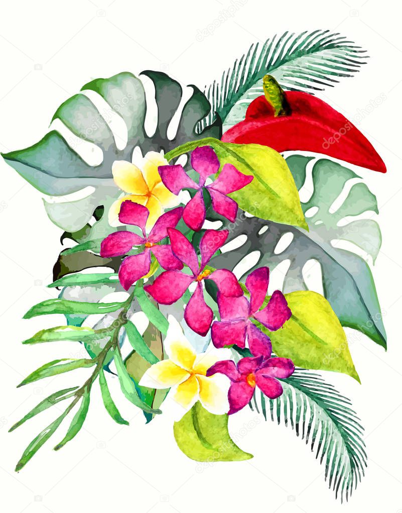 Hand drawn watercolor tropical plants