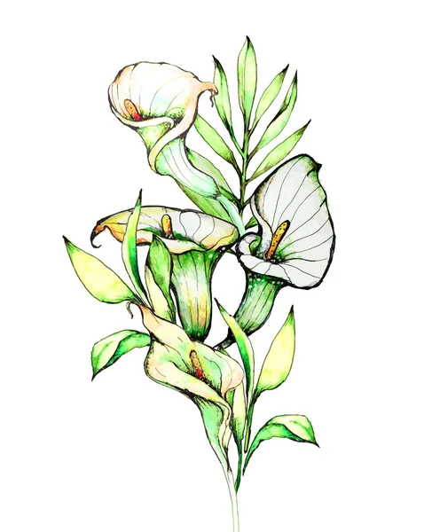 Vector Afbeelding Van Het Boeket Calla Lelies — Stockvector