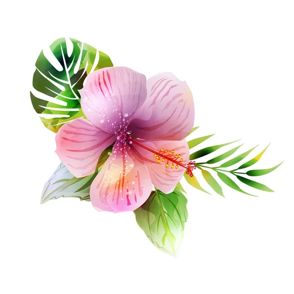 Tropiska Växter Med Hibiscus — Stock vektor
