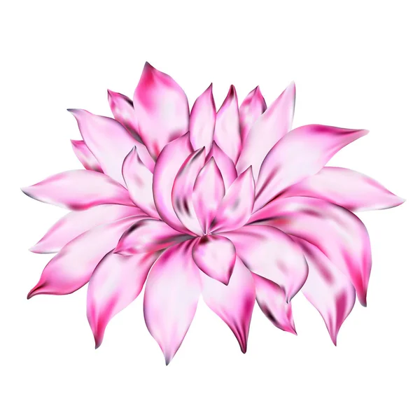 Beau Dahlia Rose Isolé Sur Fond Blanc Pour Les Cartes — Image vectorielle