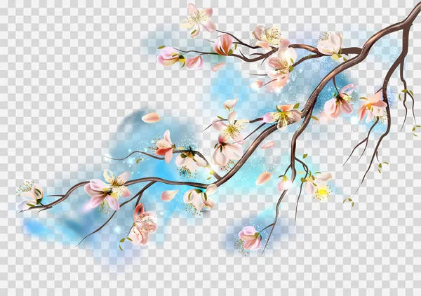 春天的樱花盛开的矢量背景 樱花树枝飘落的花瓣和模糊的透明元素 — 图库矢量图片