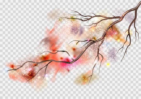 春天里的樱花枝条和模糊的透明元素 — 图库矢量图片