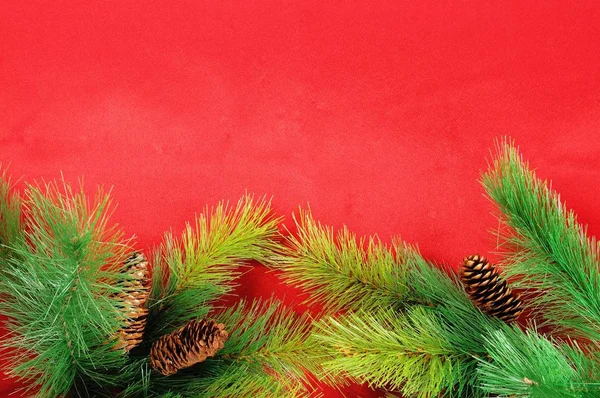 Weihnachten grüne Grenze — Stockfoto