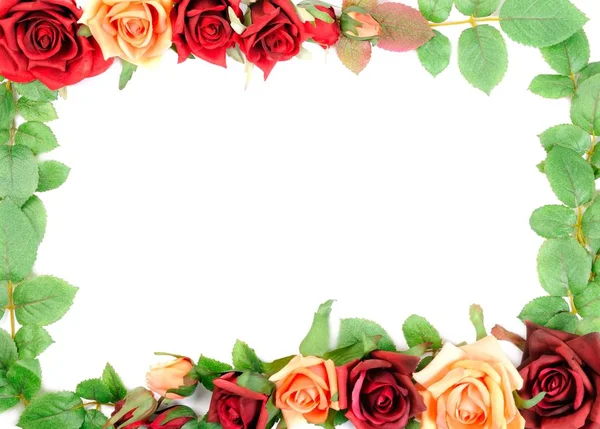 Rosa e foglie — Foto Stock