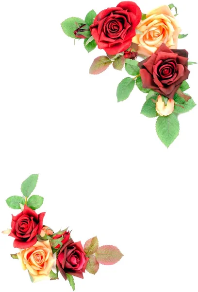 Rosa e folhas — Fotografia de Stock