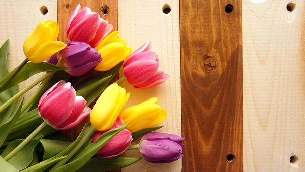 Bunte Tulpen vor hölzernem Hintergrund Stockfoto