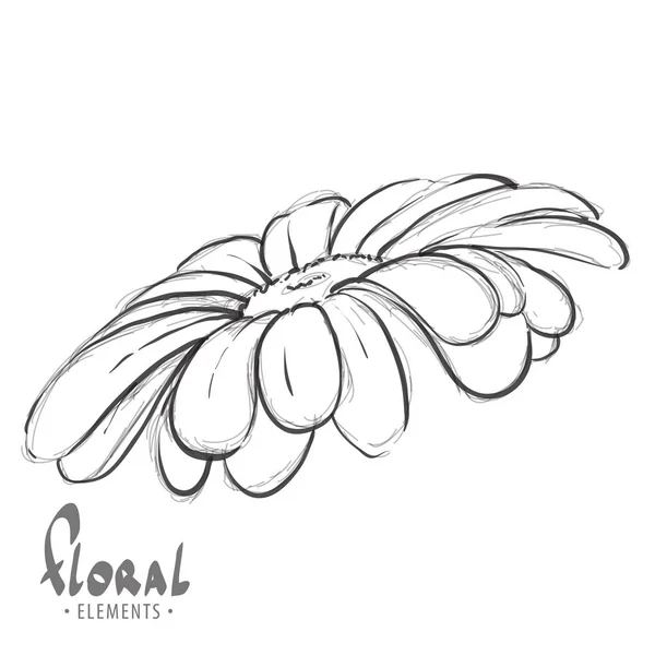白い背景の上の芽のヒナギク — ストックベクタ