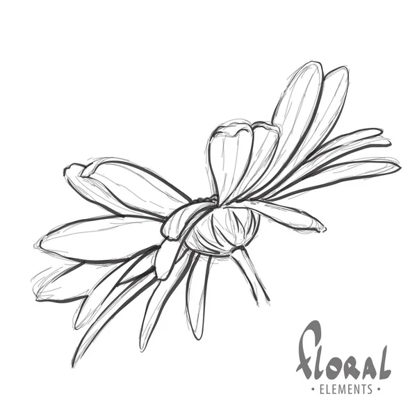 设计素描的雏菊 — 图库矢量图片
