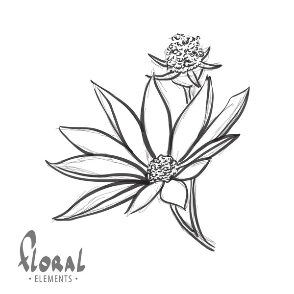 Detail květin na bílém pozadí — Stockový vektor
