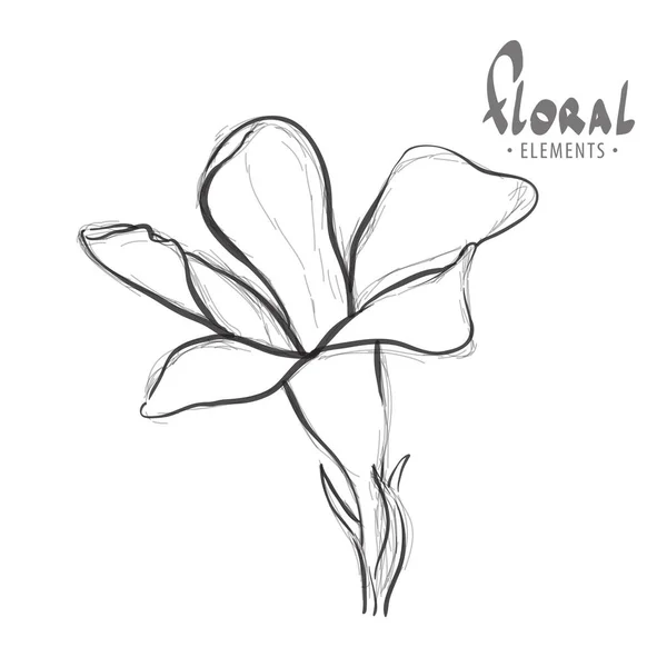 Fleur sauvage contour — Image vectorielle