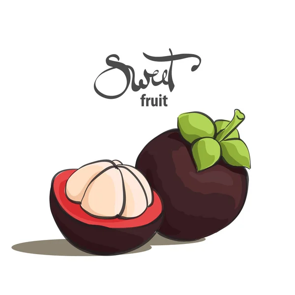 Tatlı mangosteen illüstrasyon — Stok Vektör