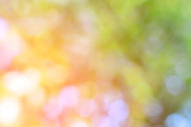 Bulanık ağaçlar, Bahar bokeh arka plan kopya alanı ile