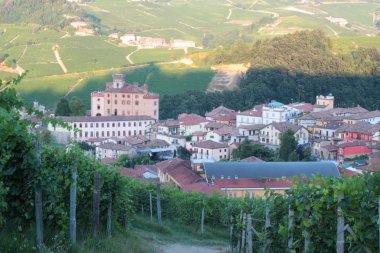 Eski şatosu olan şehir manzarası