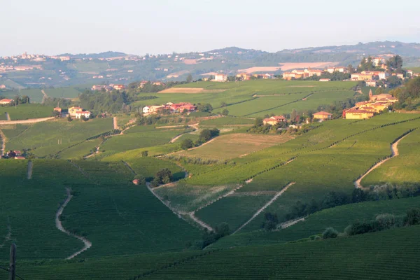 Langhe Piemonte Utsikt Över Landskapet Med Vinstockar För Produktion Vindruvor — Stockfoto