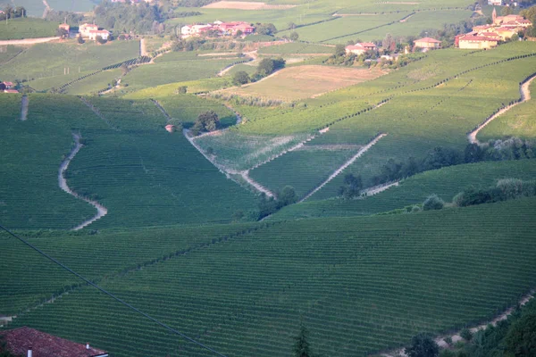 Langhe Piedmont Τοπίο Θέα Αμπέλι Για Την Παραγωγή Αμπέλου — Φωτογραφία Αρχείου