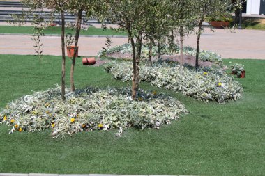 Ağaçlar ve yeşilliklerle şehir manzarası