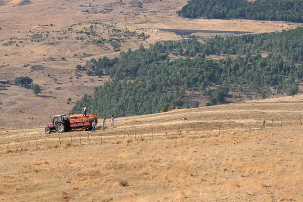 Tracteur Les Travailleurs Travail Dans Domaine Agricole Naturel Avec Des — Photo